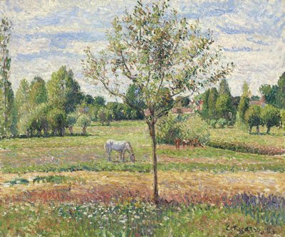 Łąka z siwym koniem, Eragny autorstwa Camille Jacob Pissarro